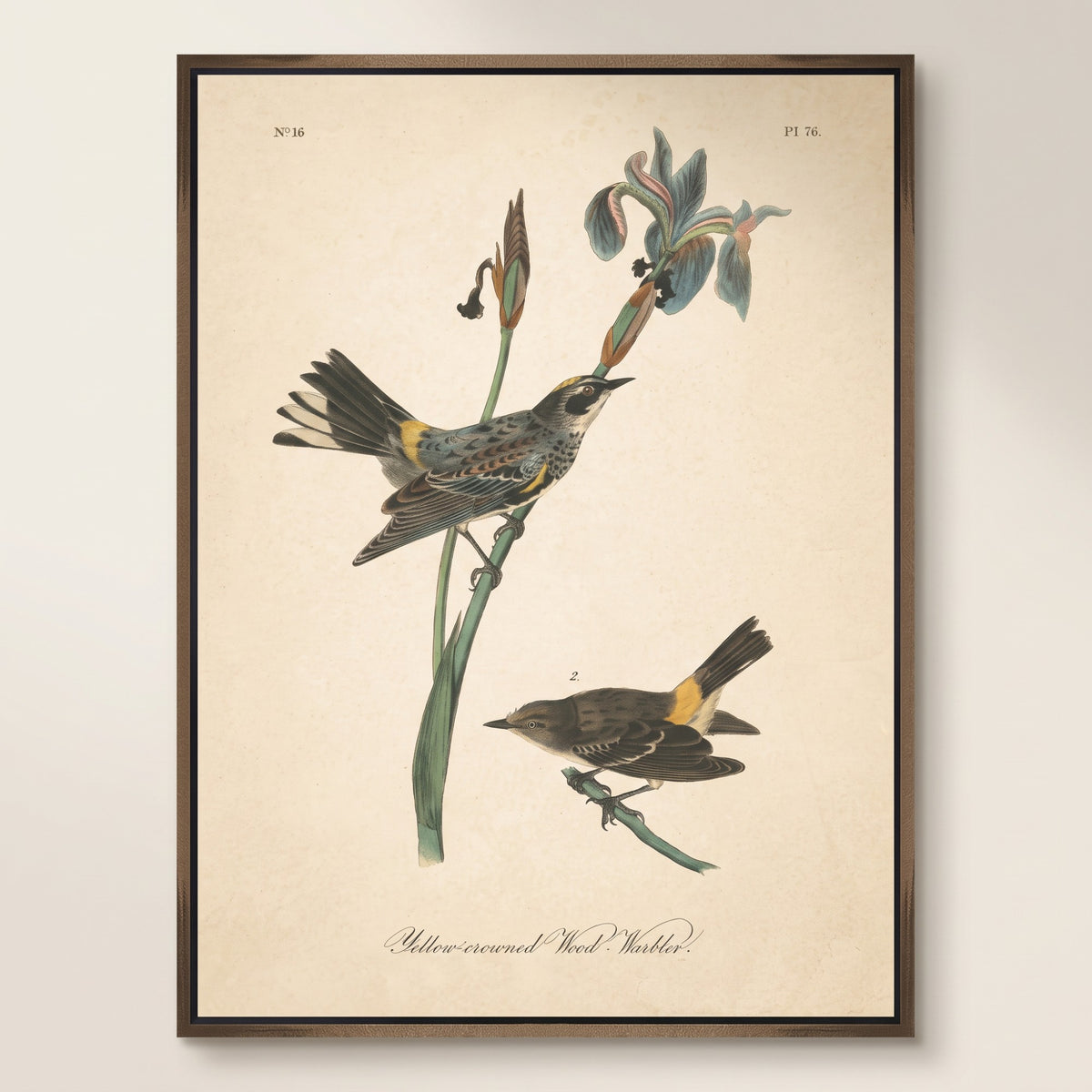 Vintage Warbler I Wall Art