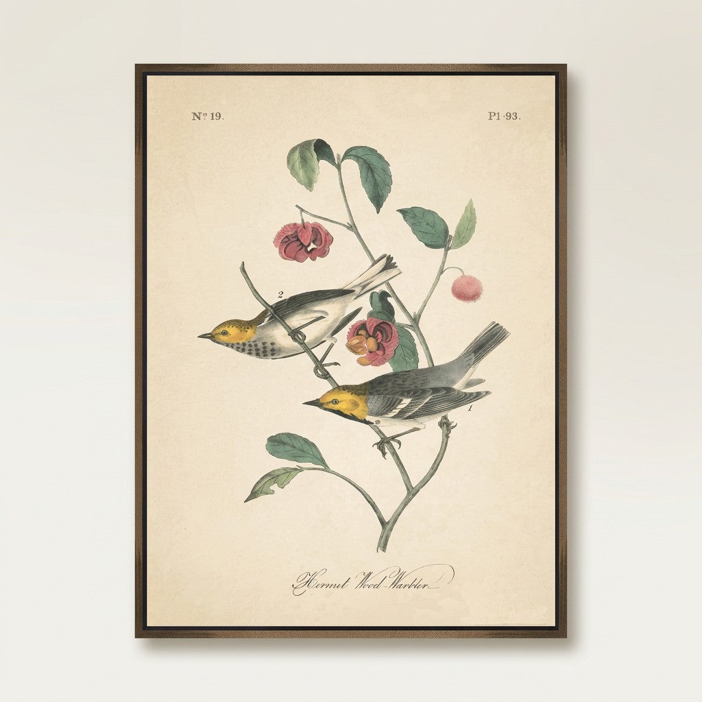 Vintage Warbler IV Wall Art