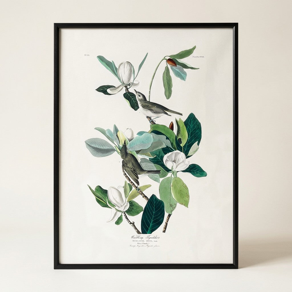 Warbling Flycatcher Wall Art