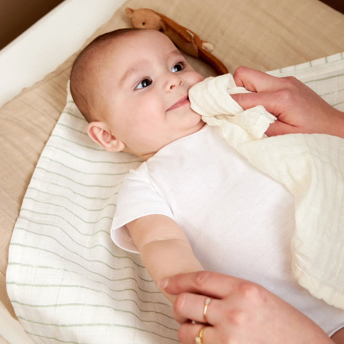 Pre-Washed Muslin Facecloths, 3-Pack
