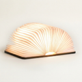 Smart Book Light