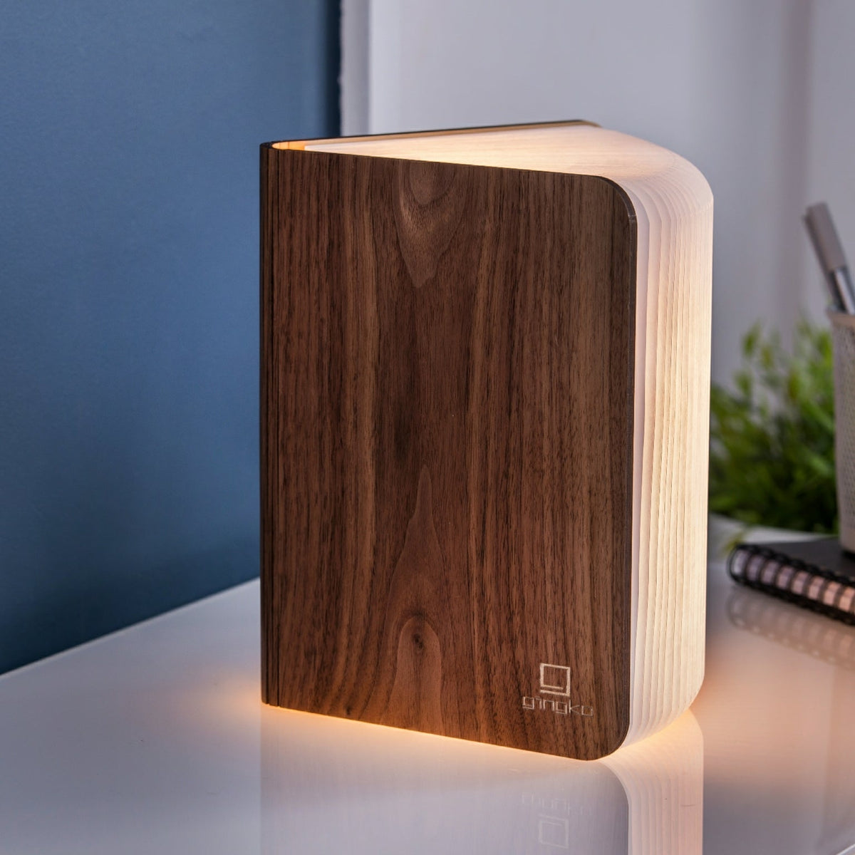 Smart Book Light