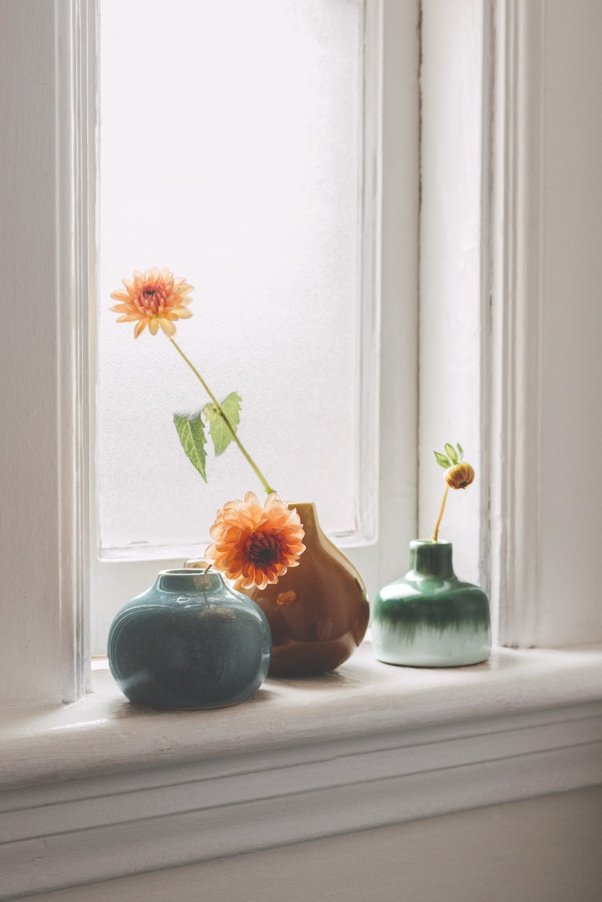 Fir Bud Vase