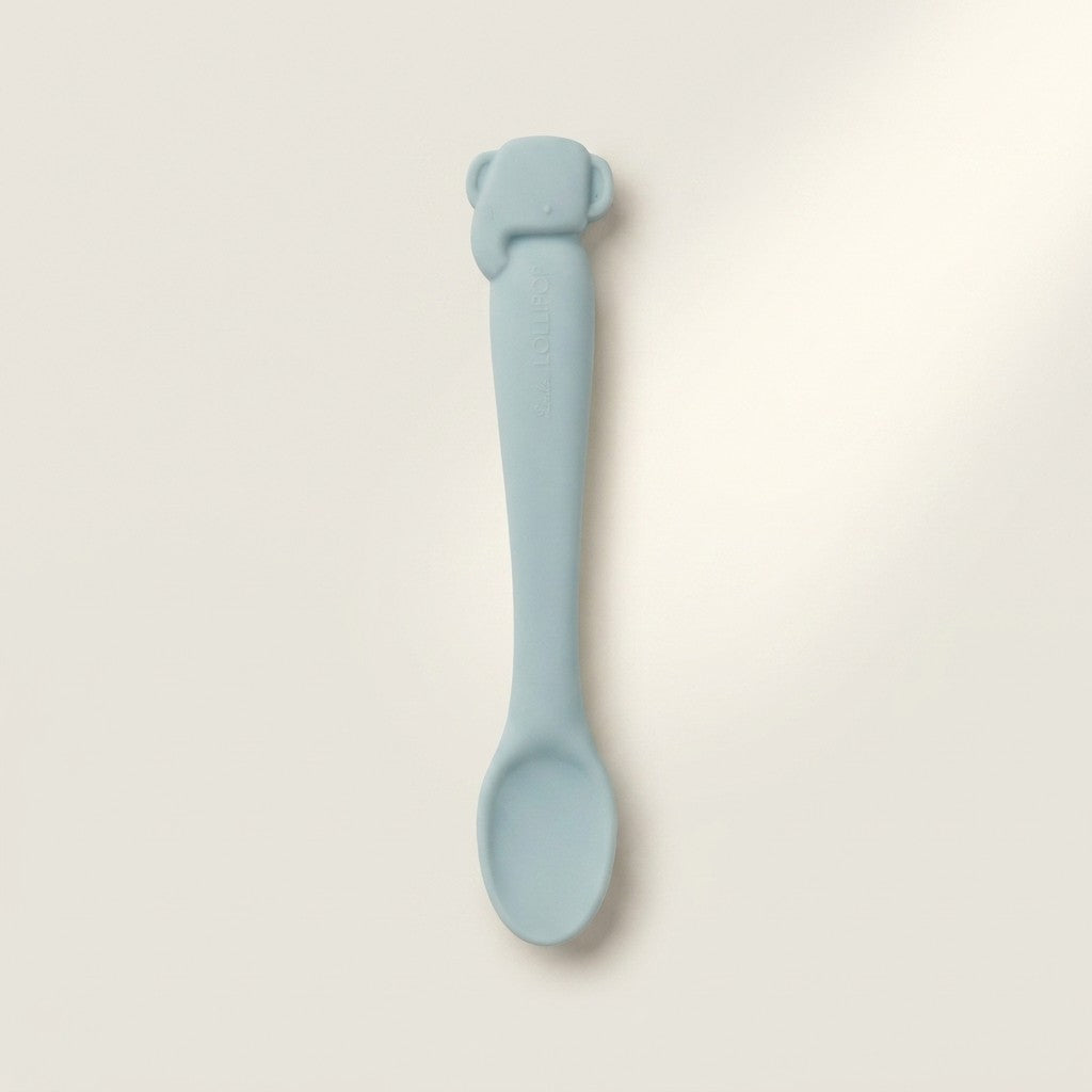 Feeding Spoon (Set of 2)