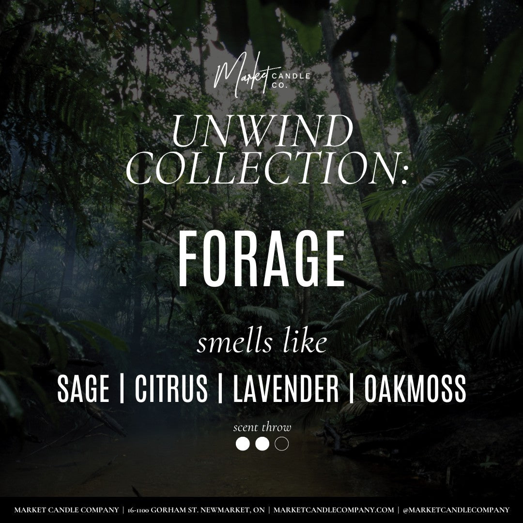 Forage 8oz. Scented Unwind Soy Candle