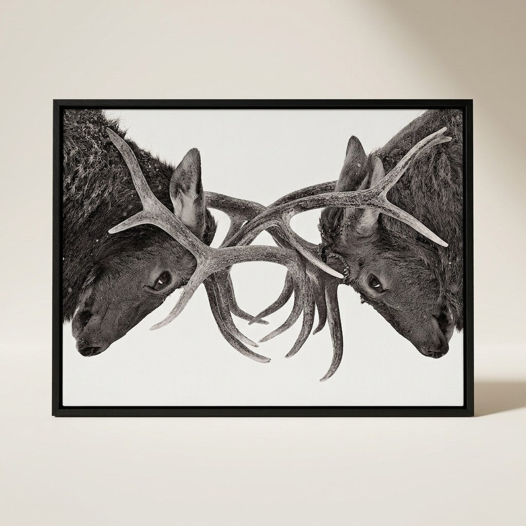 Elk Battle Wall Art