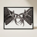 Elk Battle Wall Art