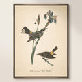 Vintage Warbler I Wall Art