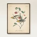 Vintage Warbler IV Wall Art