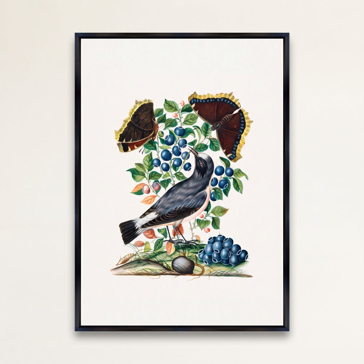 Northern Wheatear Wall Art