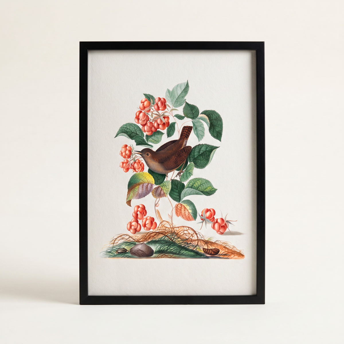 Eurasian Wren Wall Art