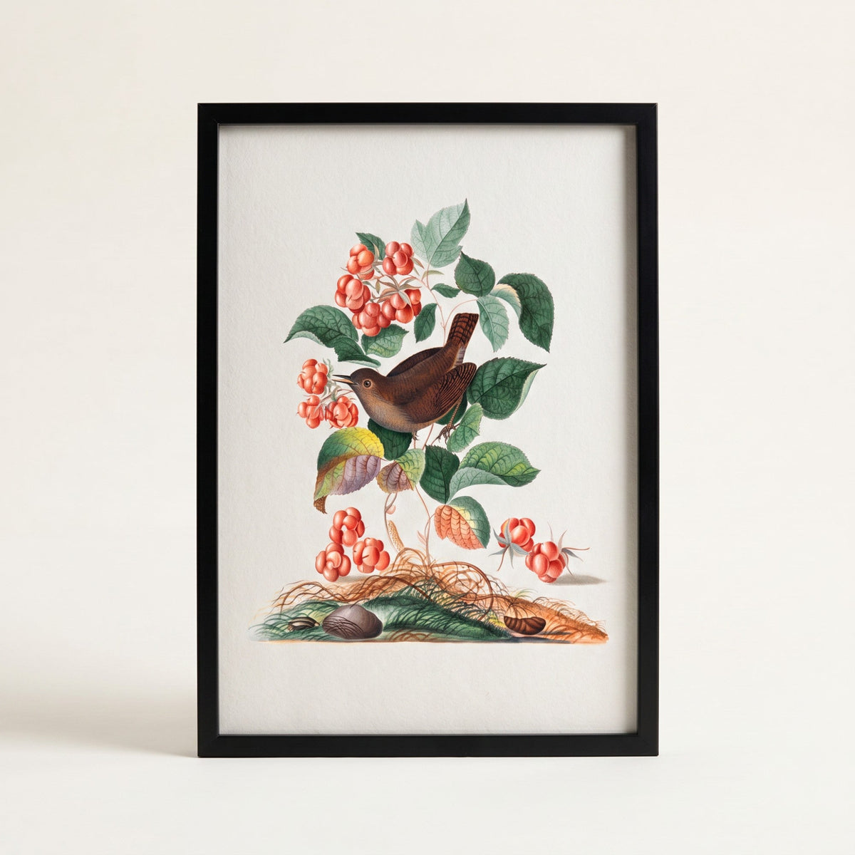 Eurasian Wren Wall Art