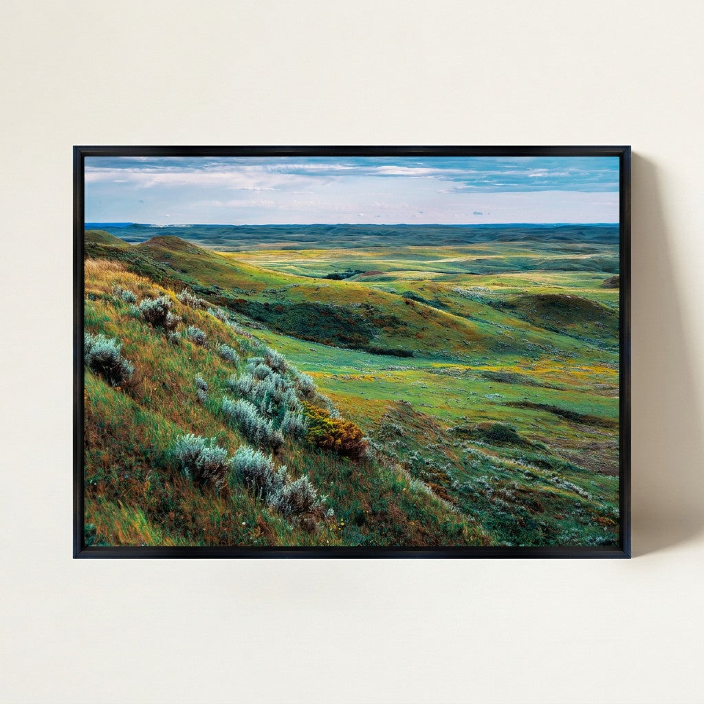 Grasslands National Park Wall Art
