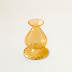 Nalia Budvase, Daffodil