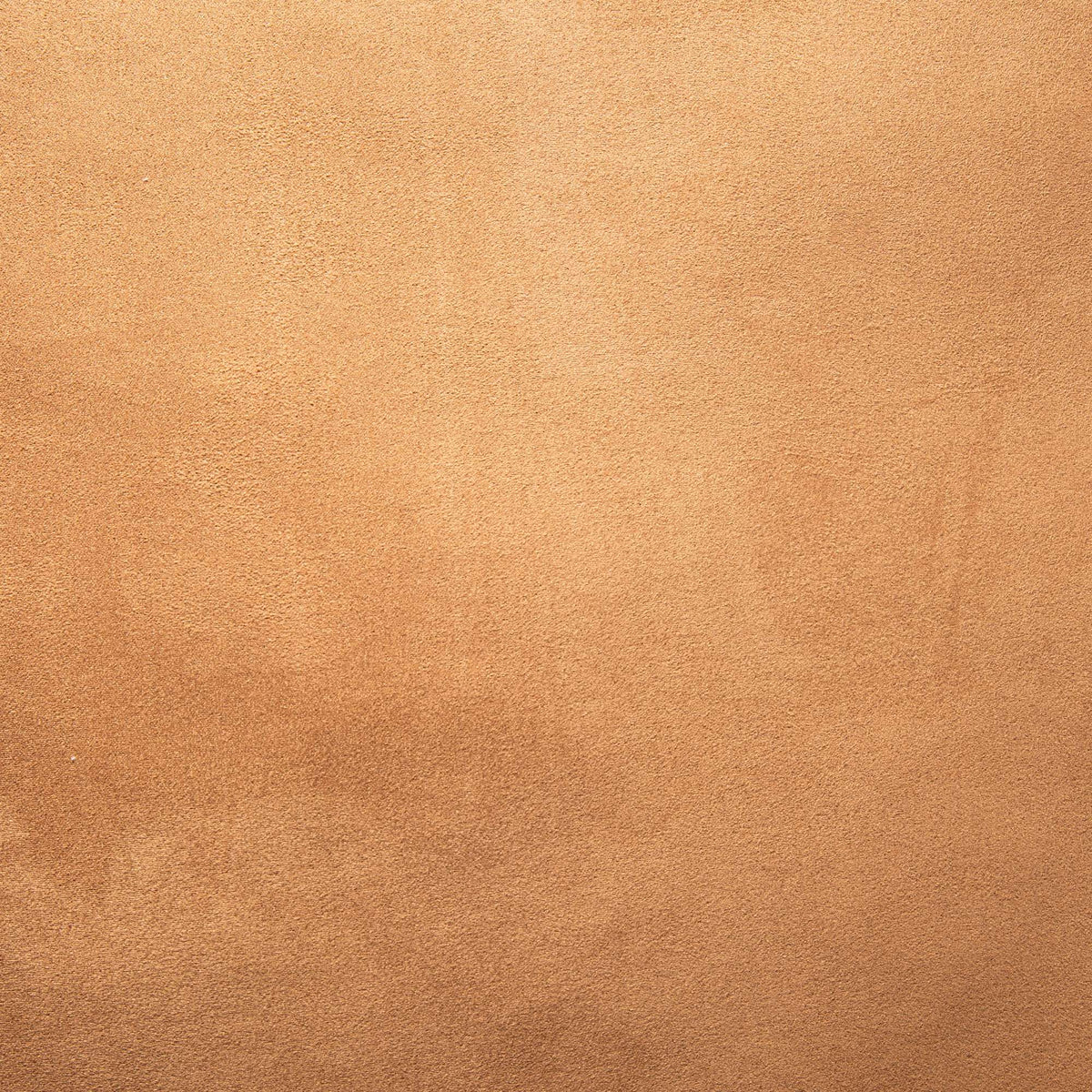 Ivory Cushion