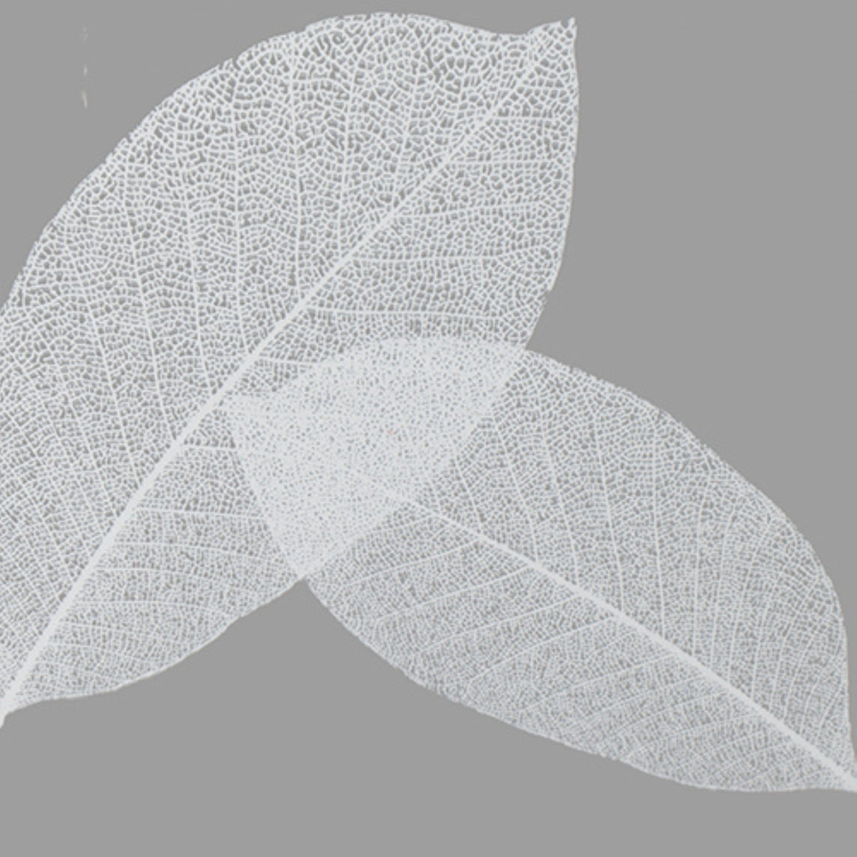 Harvest Leaf PEVA Shower Curtain