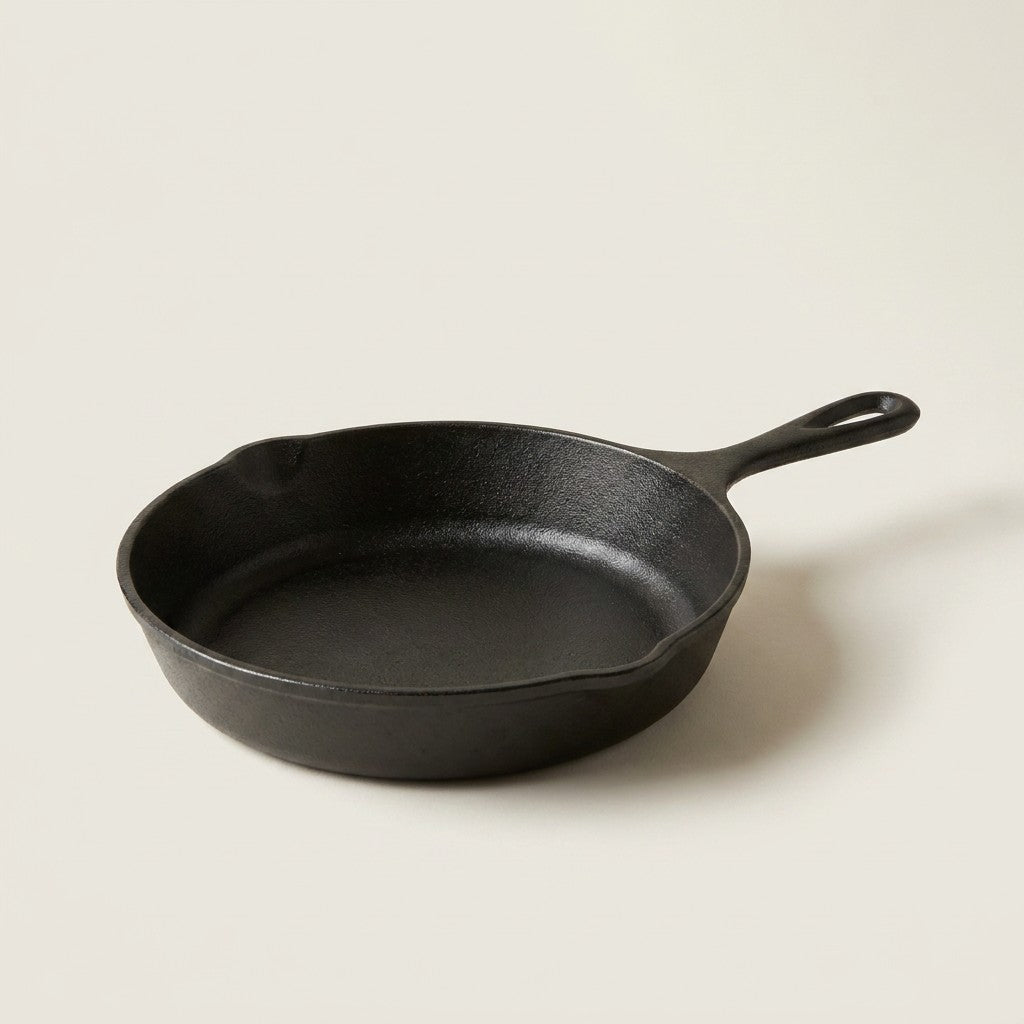 Lodge Cast Iron Skillet