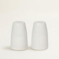 Aquarius Oyster Salt & Pepper Shakers Set of 2