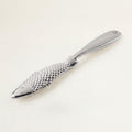 Fish Scaler 21cm