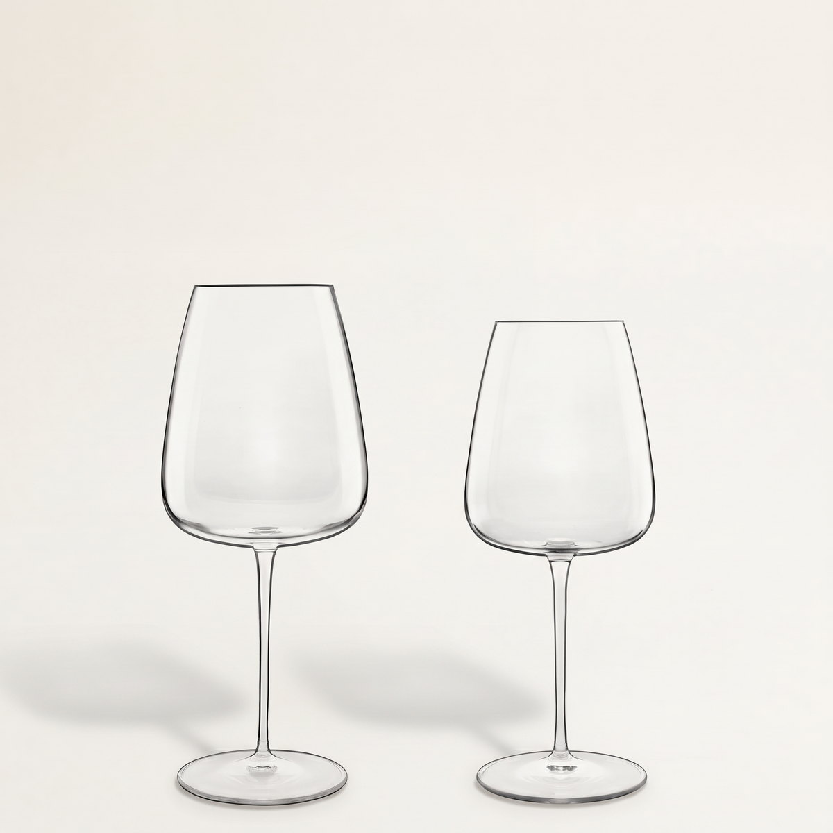 Luigi Bormioli Talismano Collection Bordeaux and Chardonnay Glass Set