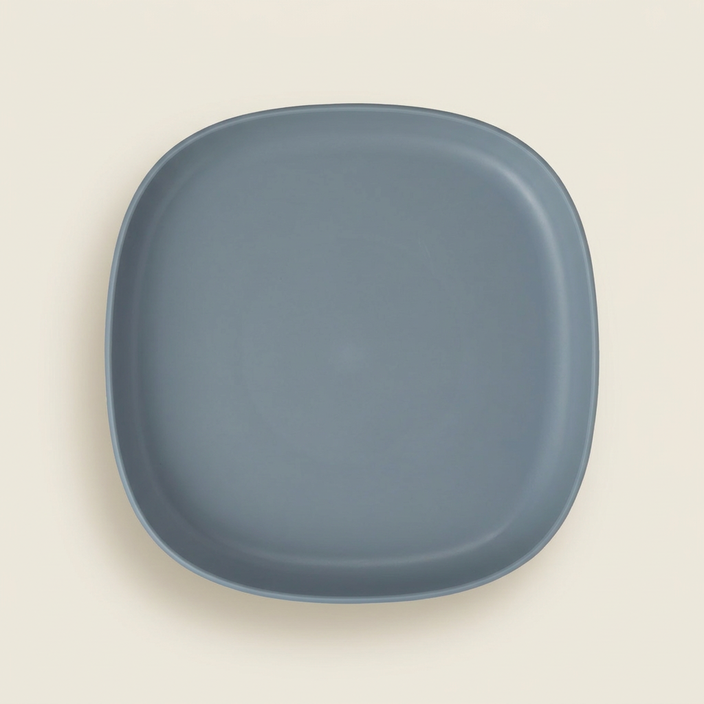 b.box - 2 in 1 Suction Plate