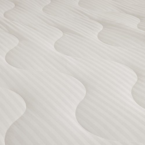 Bloom Essentials Cotton Mattress Protector