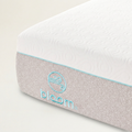 Bloom Air Mattress