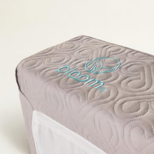 Bloom Air Mattress
