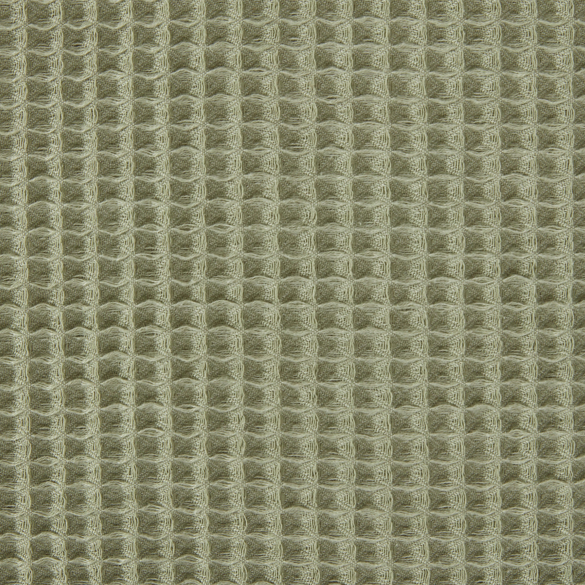 Waffle Shower Curtain